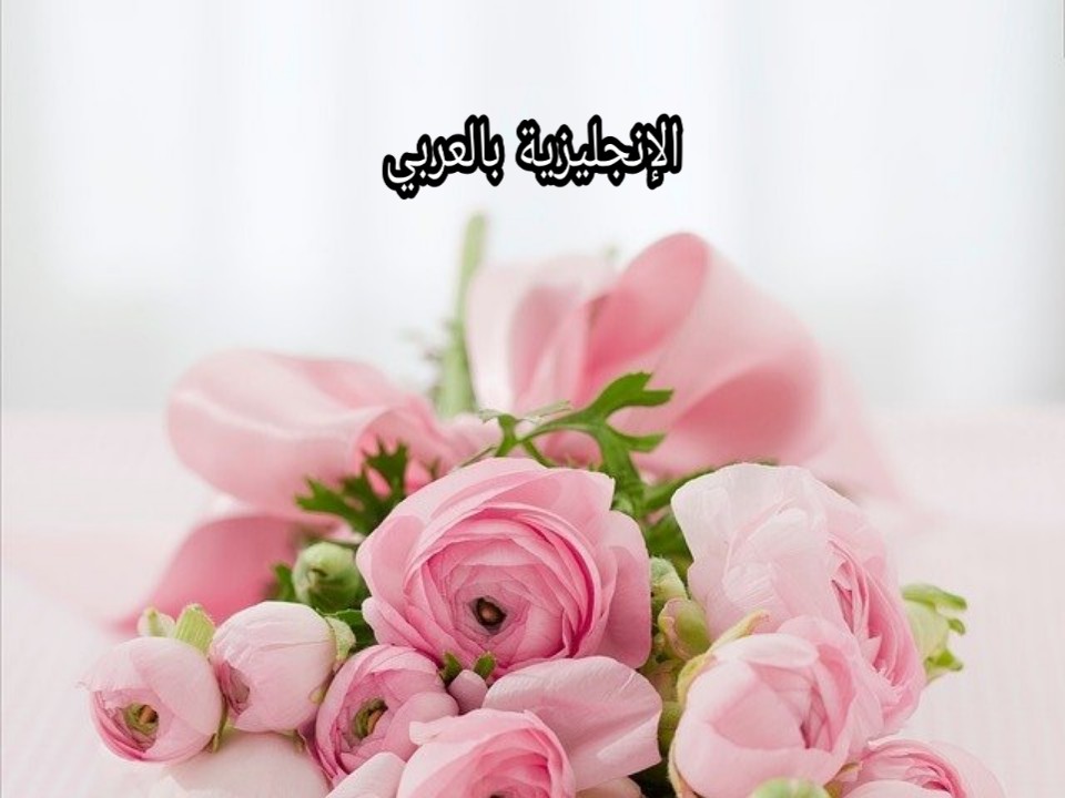 أسماء الورود بالإنجليزي والعربي مع النطق بالعربي الإنجليزية بالعربي
