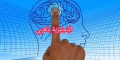 دماغ الإنسان باللغة الإنجليزية