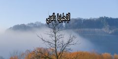 مقال حول الخريف بالإنجليزي والعربي