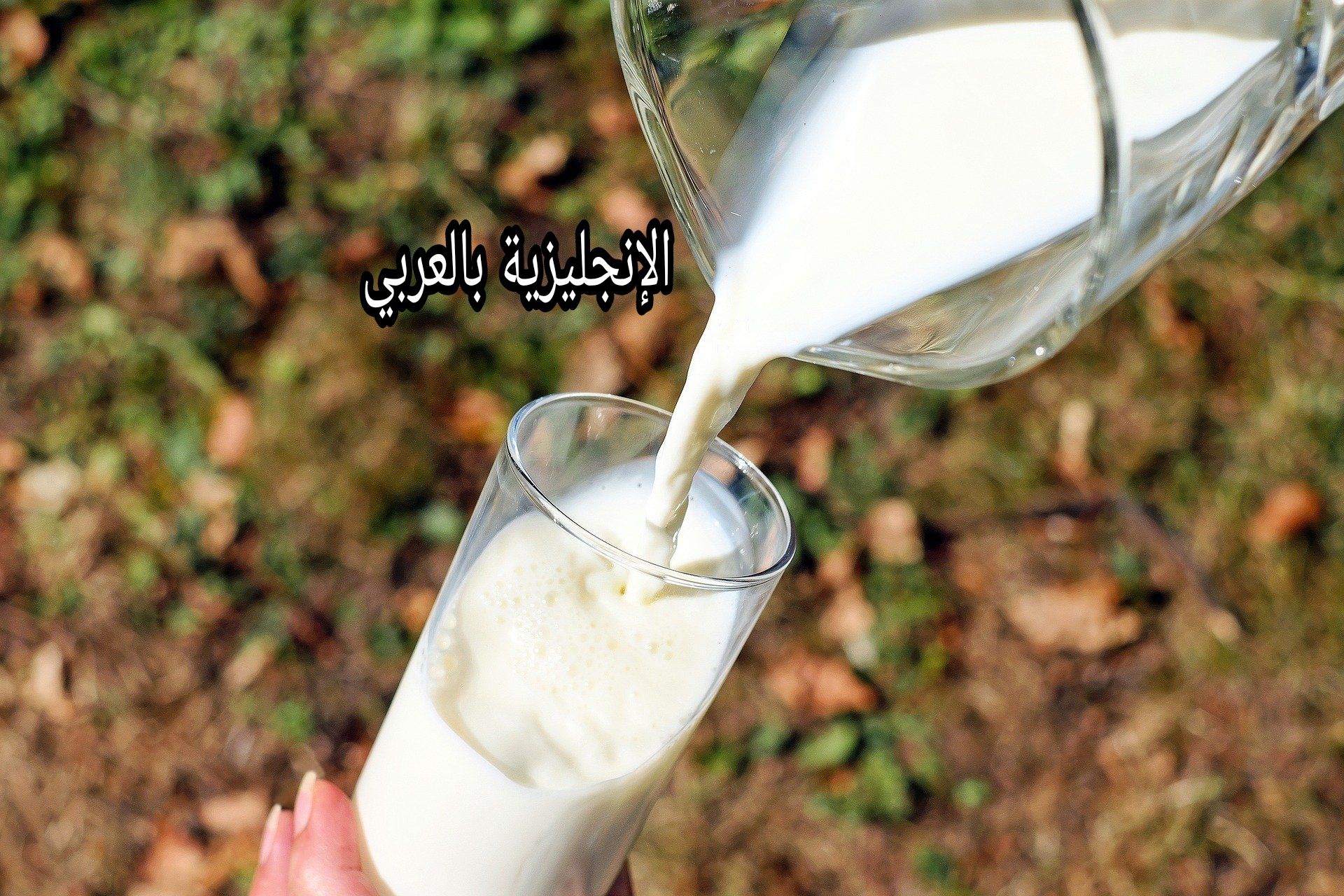موضوع عن الحليب بالإنجليزي والعربي