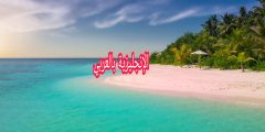 موضوع عن الجزر بالإنجليزي والعربي