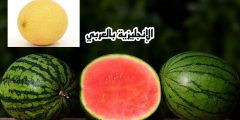 تعبير أو برجراف عن البطيخ والدلاع بالإنجليزي والعربي