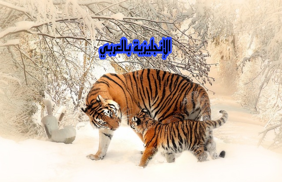 الحيوانات وصغارها بالإنجليزي والعربي